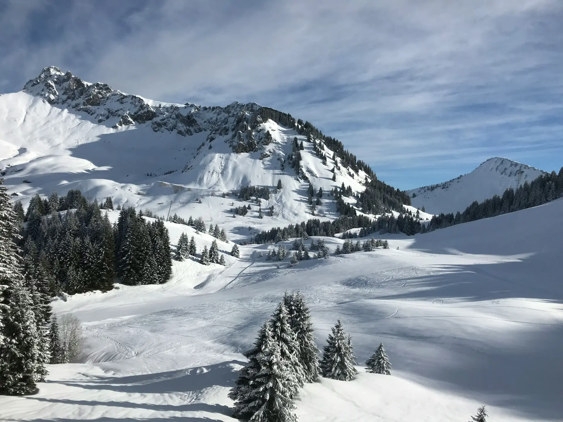 snow-covered mountain and pines under cloudy sky during daytime